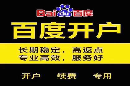 百度竞价价格解析，成功案例分享